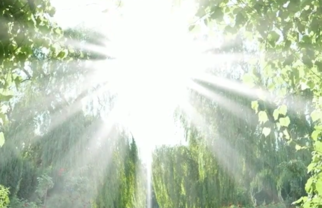 Where-My-Spirt-Leads-Me My Intention