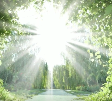 Where-My-Spirt-Leads-Me My Intention