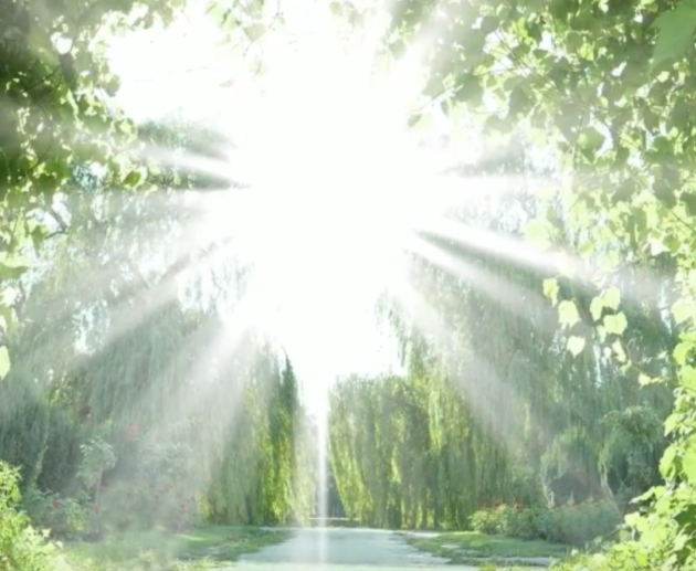 Where-My-Spirt-Leads-Me My Intention