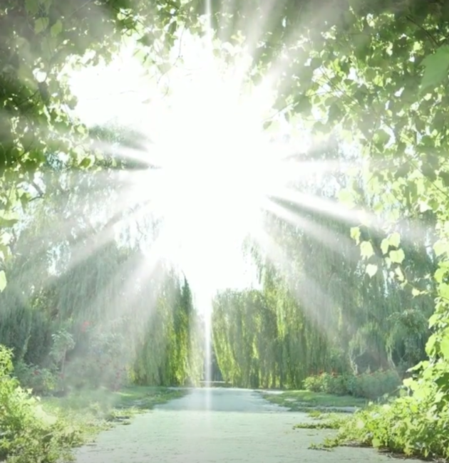 Where-My-Spirt-Leads-Me My Intention
