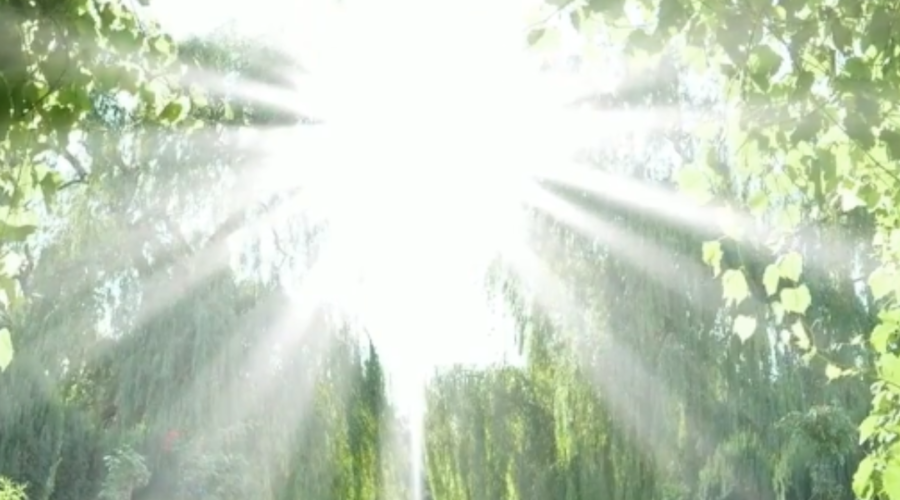 Where-My-Spirt-Leads-Me My Intention